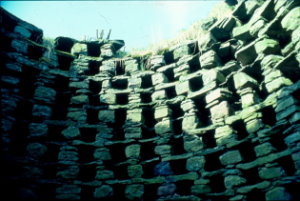 Stone nest-holes at Murroes, Angus